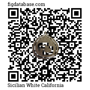 Sicilian White California QR Code