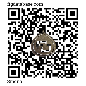 Smena QR Code