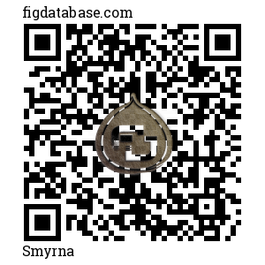 Smyrna QR Code