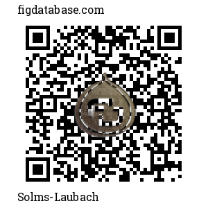 Solms-Laubach QR Code