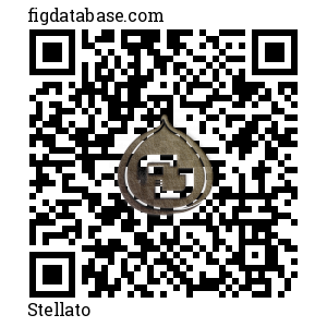 Stellato QR Code