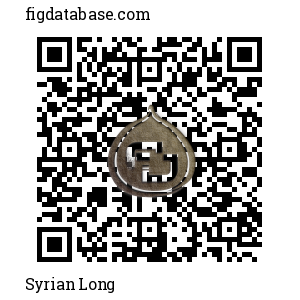 Syrian Long QR Code