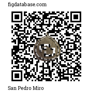 San Pedro Miro QR Code