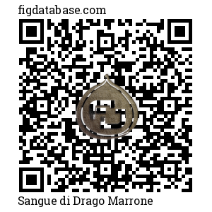 Sangue di Drago Marrone QR Code