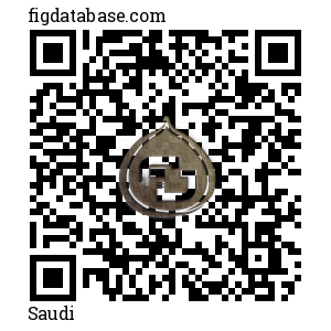 Saudi QR Code