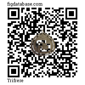 Trifrere QR Code
