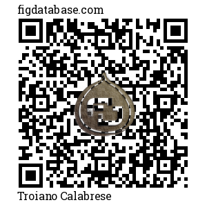 Troiano Calabrese QR Code
