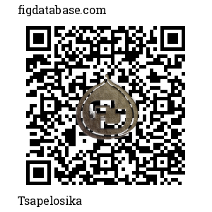 Tsapelosika QR Code