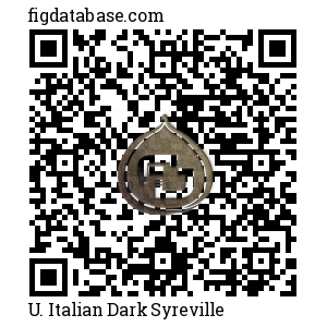 U. Italian Dark Syreville QR Code