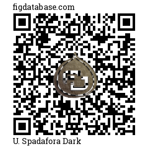 U. Spadafora Dark QR Code