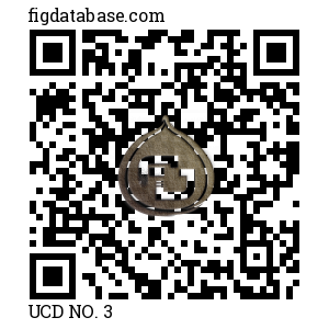 UCD NO. 3 QR Code