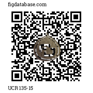 UCR 135-15 QR Code