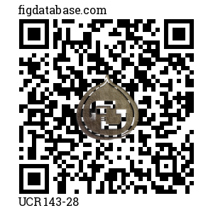 UCR 143-28 QR Code