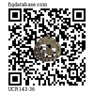 UCR 143-36 QR Code
