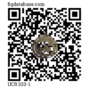 UCR 333-1 QR Code