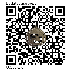 UCR 341-1 QR Code