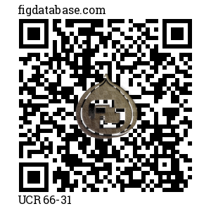 UCR 66-31 QR Code