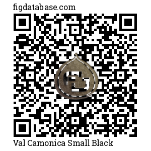 Val Camonica Small Black QR Code