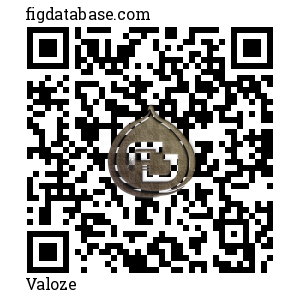 Valoze QR Code