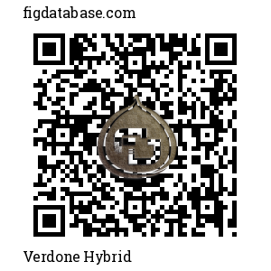 Verdone Hybrid QR Code