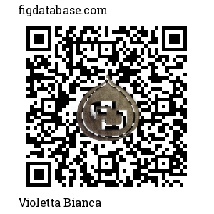 Violetta Bianca QR Code