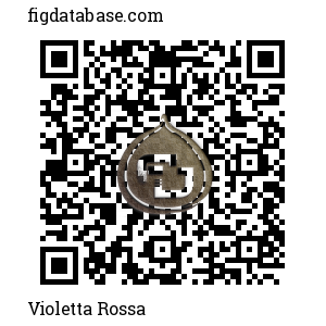 Violetta Rossa QR Code