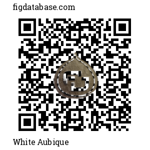 White Aubique QR Code