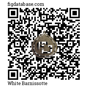 White Barnissotte QR Code
