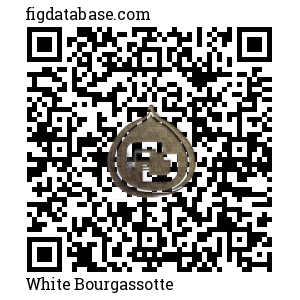 White Bourgassotte QR Code