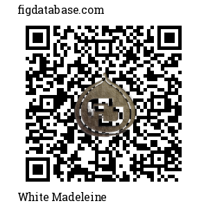 White Madeleine QR Code