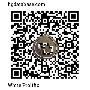 White Prolific QR Code
