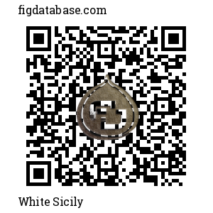 White Sicily QR Code