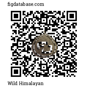 Wild Himalayan QR Code