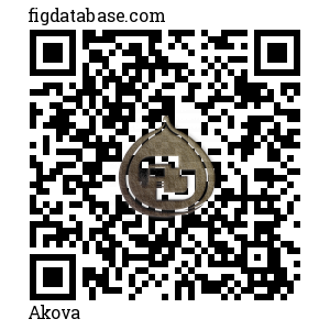 Akova QR Code