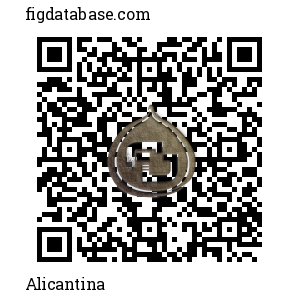 Alicantina QR Code