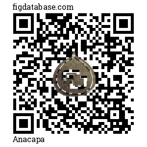 Anacapa QR Code