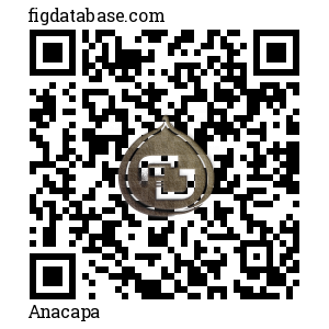 Anacapa QR Code
