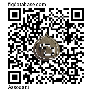 Assouani QR Code