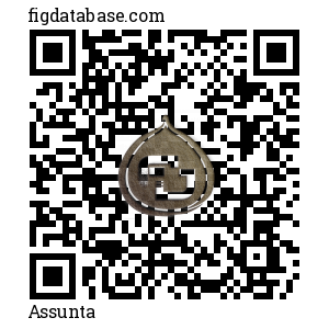 Assunta QR Code