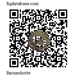 Barnachotte QR Code