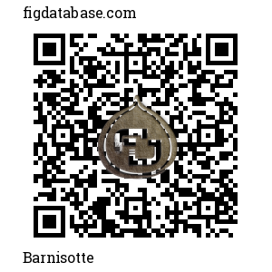Barnisotte QR Code