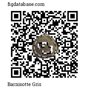 Barnisotte Gris QR Code