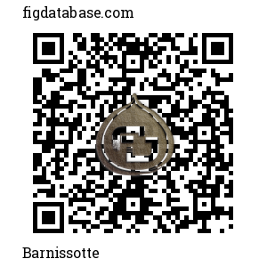 Barnissotte QR Code