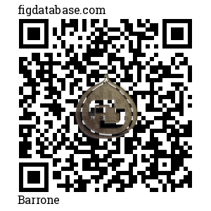 Barrone QR Code