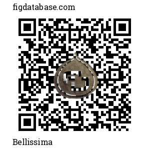 Bellissima QR Code
