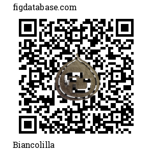 Biancolilla QR Code