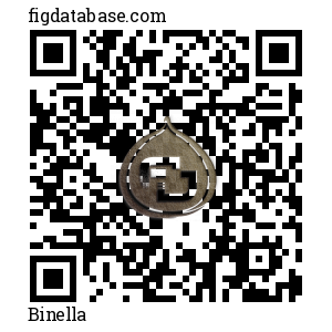 Binella QR Code