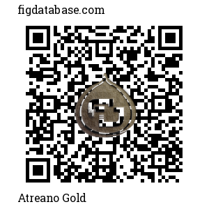 Atreano Gold QR Code