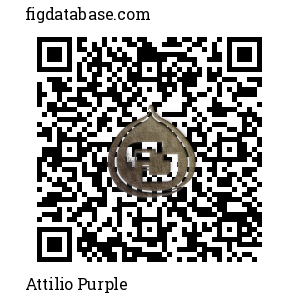 Attilio Purple QR Code