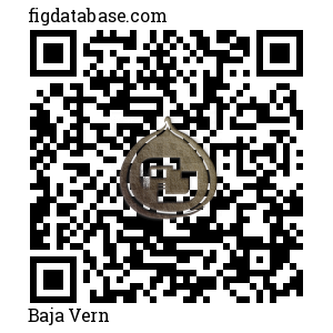 Baja Vern QR Code